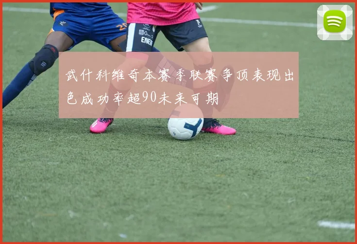 武什科维奇本赛季联赛争顶表现出色成功率超90未来可期