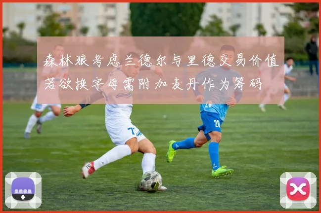 森林狼考虑兰德尔与里德交易价值若欲换字母需附加麦丹作为筹码
